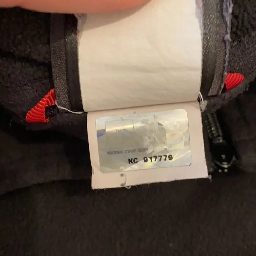 The North Face north face